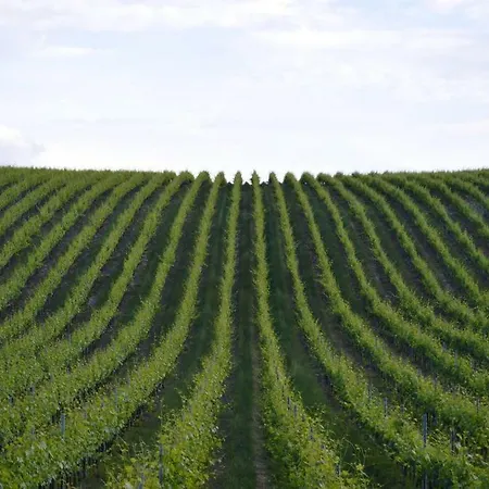 Ciards House Montefalco